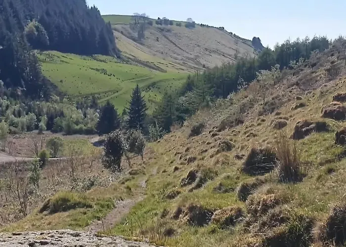 Tranquil District Village *